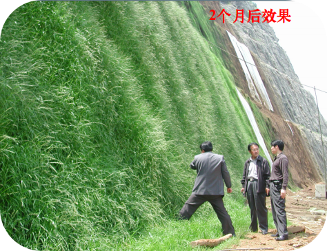 噴射混凝土邊坡綠化施工工藝